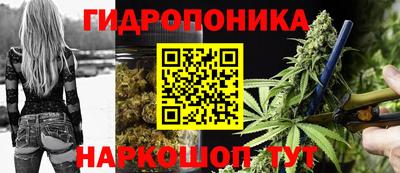 винт Славгород