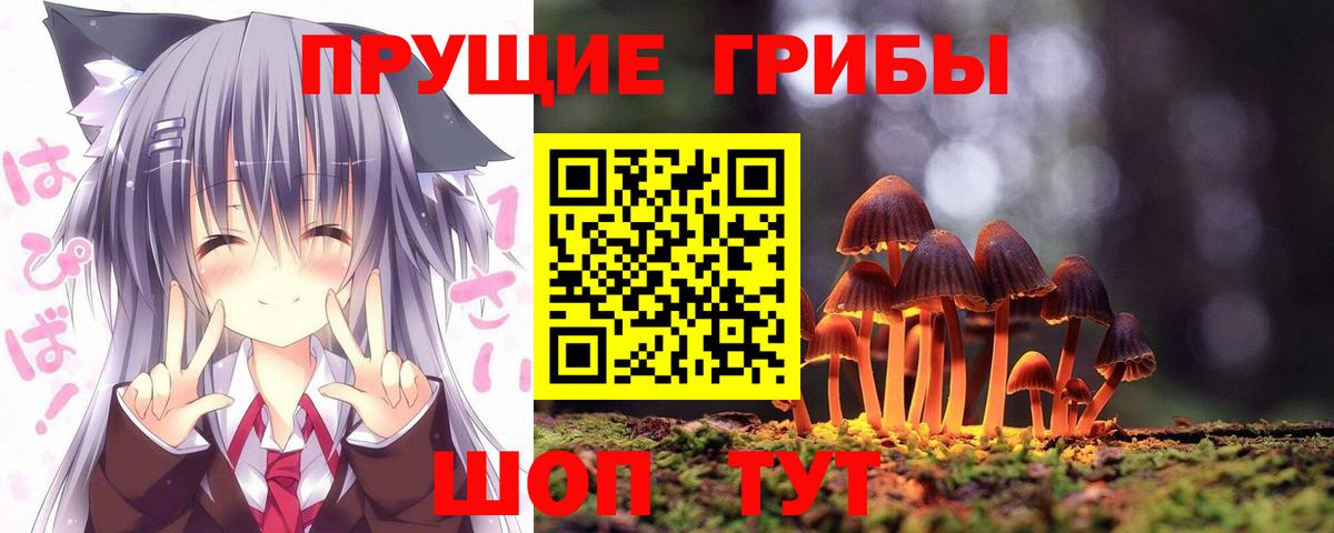 Псилоцибиновые грибы GOLDEN TEACHER  Вход с VPN  Псилоцибиновые грибы Psilocybine cubensis  где купить наркоту  Борисоглебск 
